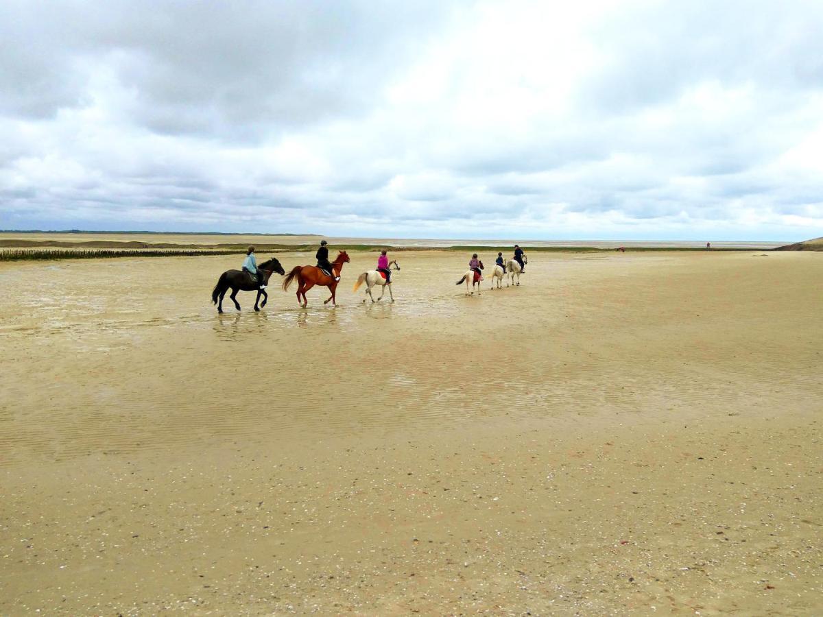 Maison Proche Des Immenses Plages De Berck Sur Mer A 1,8Km Des Plages Dış mekan fotoğraf